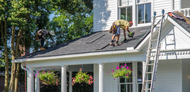 Roof Waterproofing Services in Grizzly Flats, CA